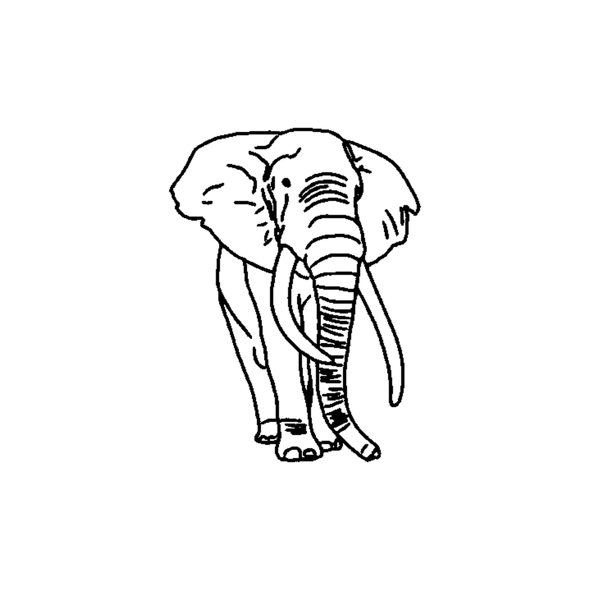 Zwarte Olifant tijdelijke tattoo van INKC, 5x5 cm (A-067)